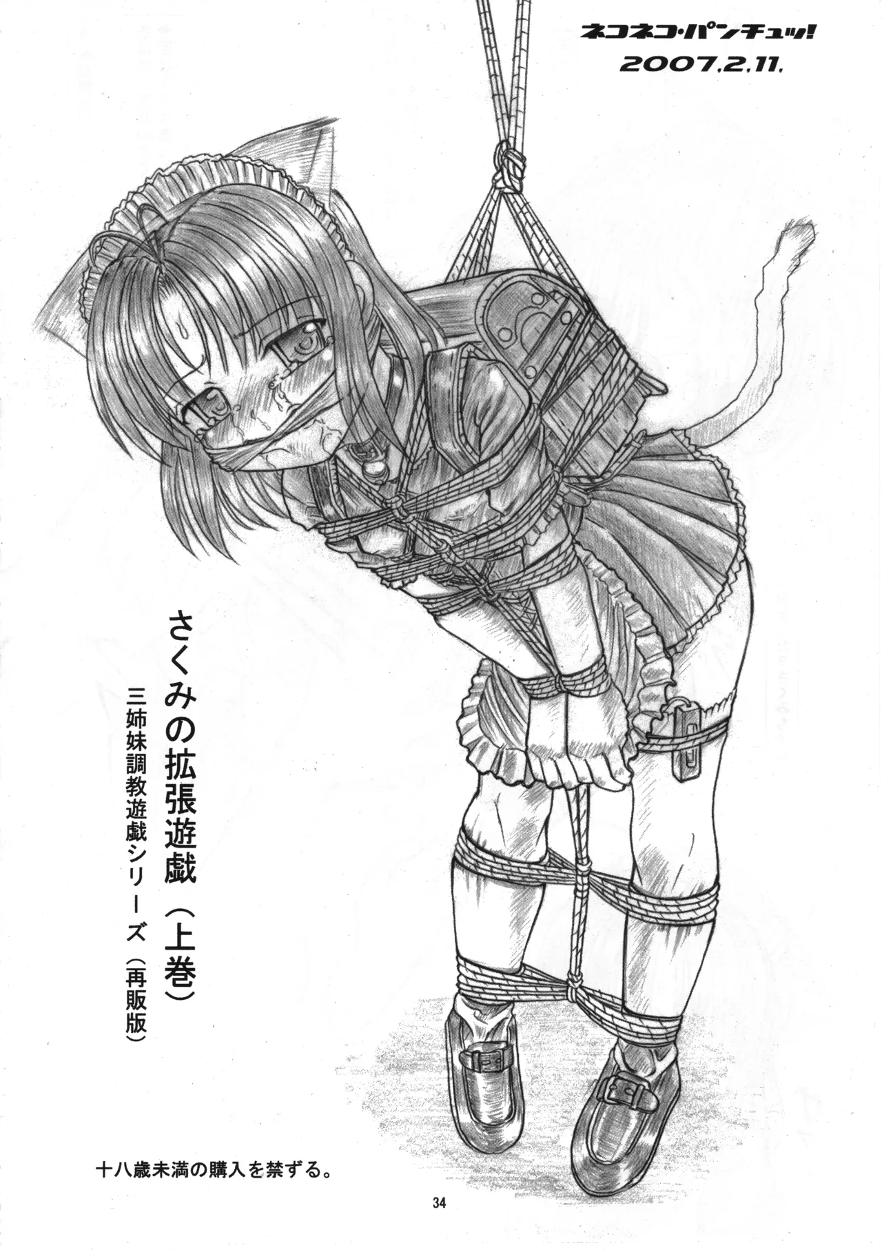 さくみの拡張遊戯 総集編 - page33