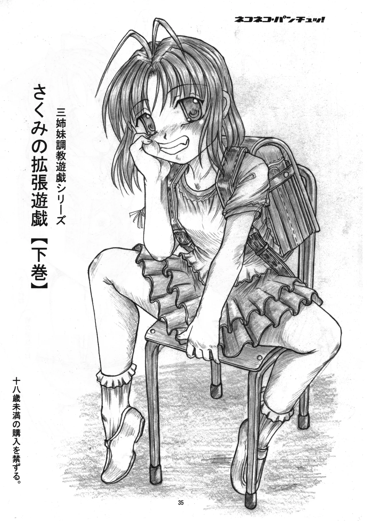 さくみの拡張遊戯 総集編 - page34