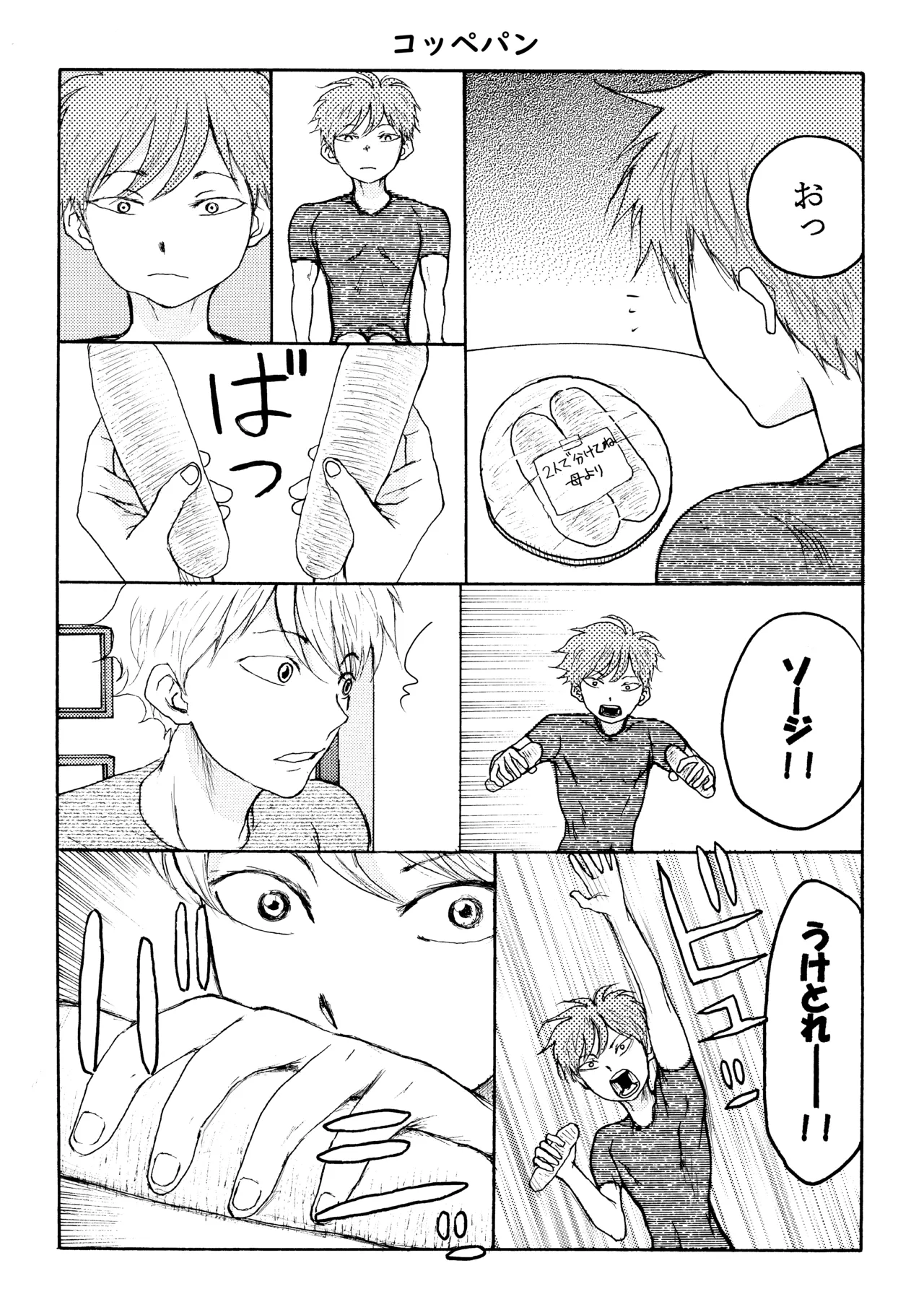 ホモ☆双生児 - page19