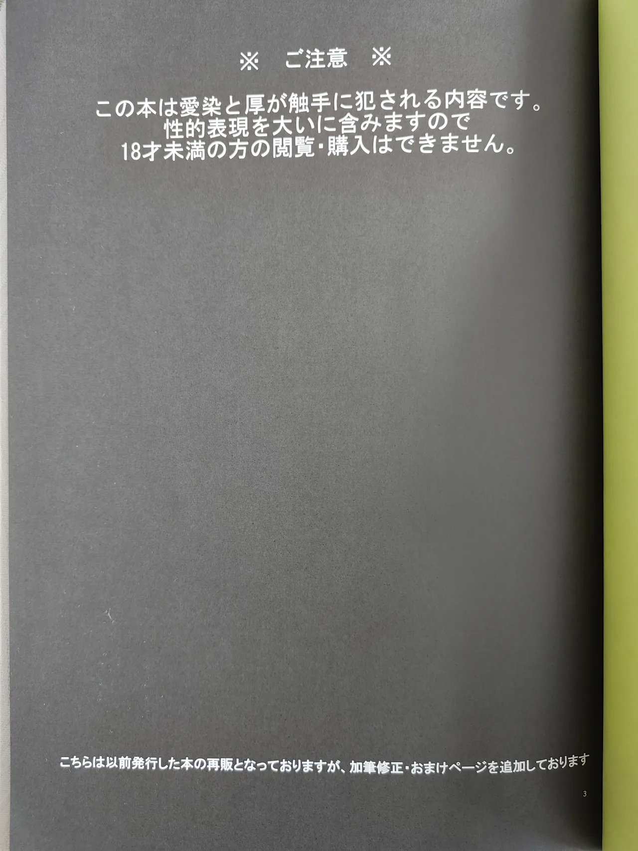 夜行道中 / 忍猫 / Lovely complex - page2