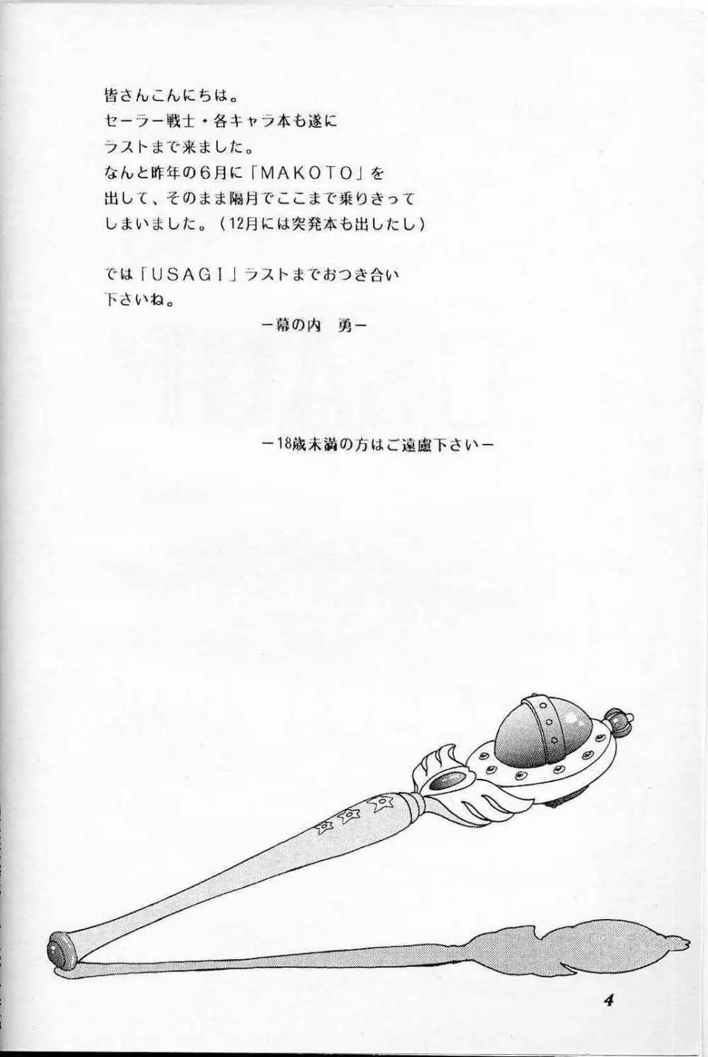 LUNCH BOX 6 USAGI - page3