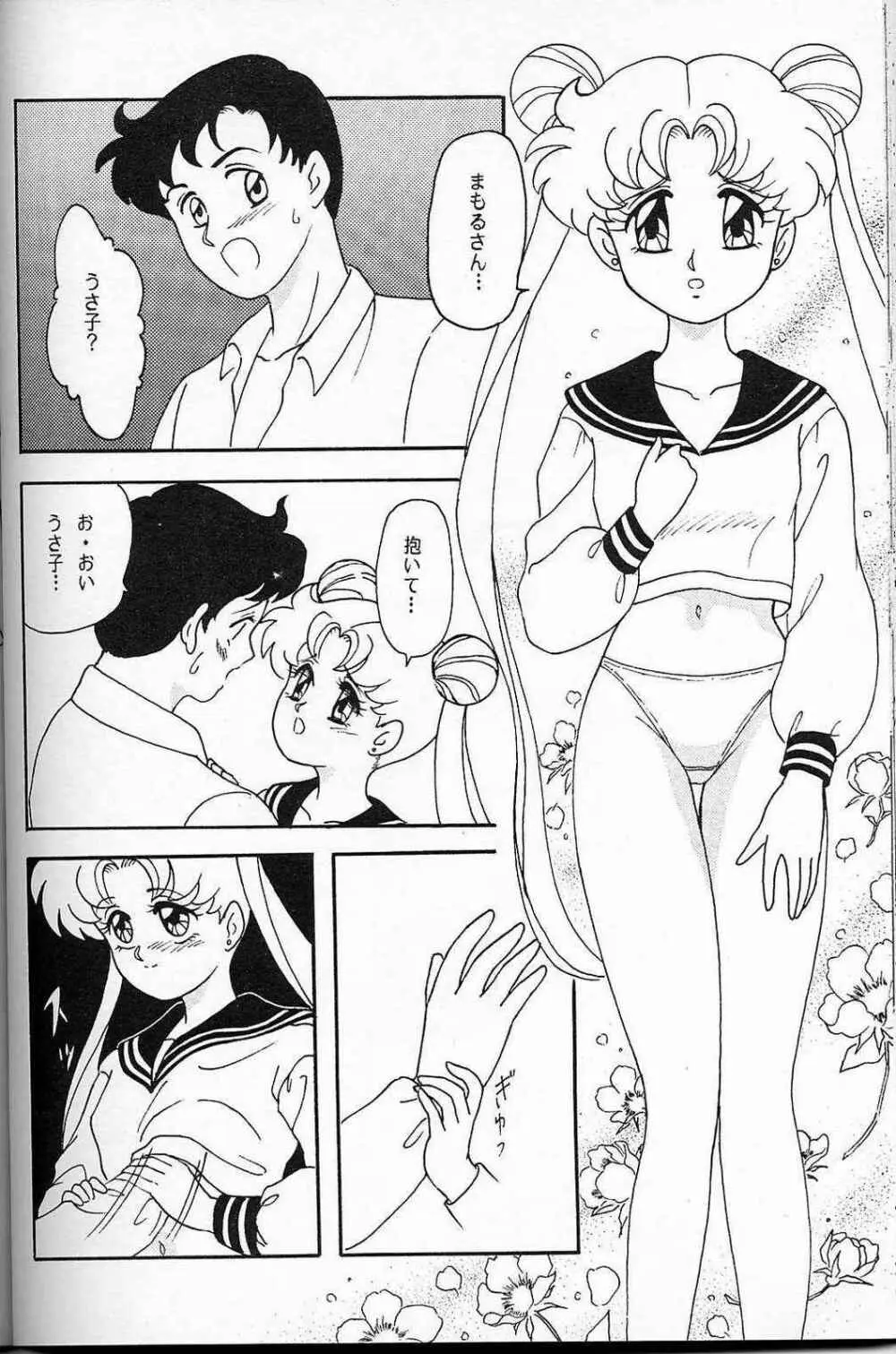 LUNCH BOX 6 USAGI - page39