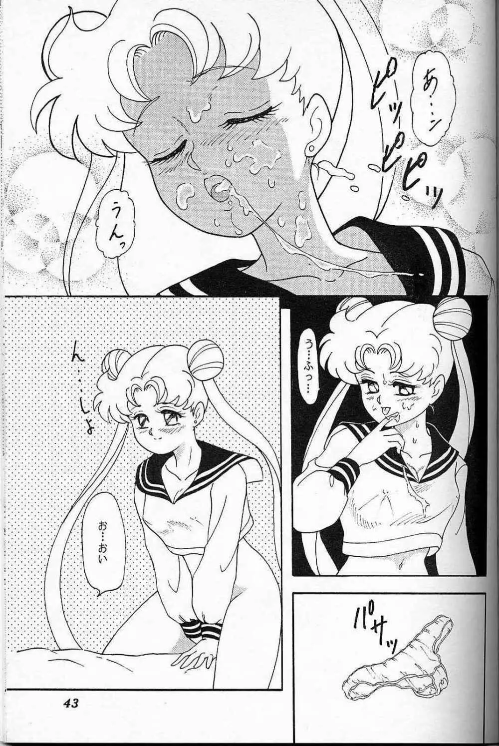 LUNCH BOX 6 USAGI - page42