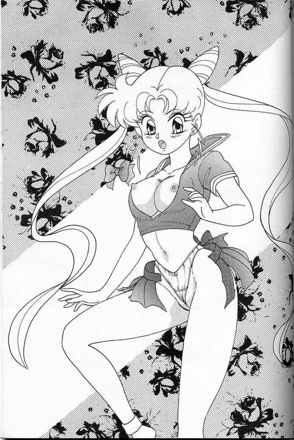 LUNCH BOX 6 USAGI - page50