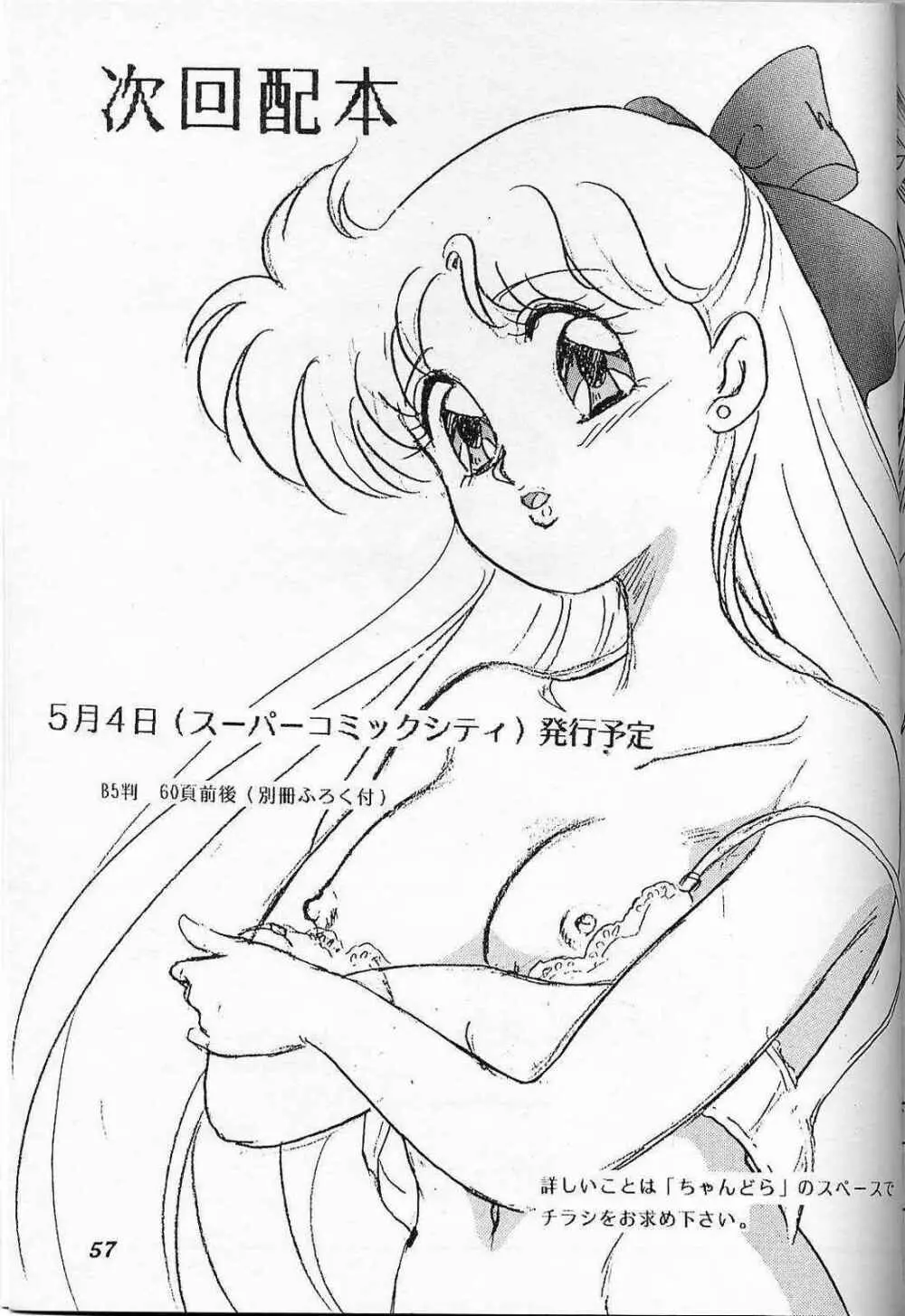 LUNCH BOX 6 USAGI - page56