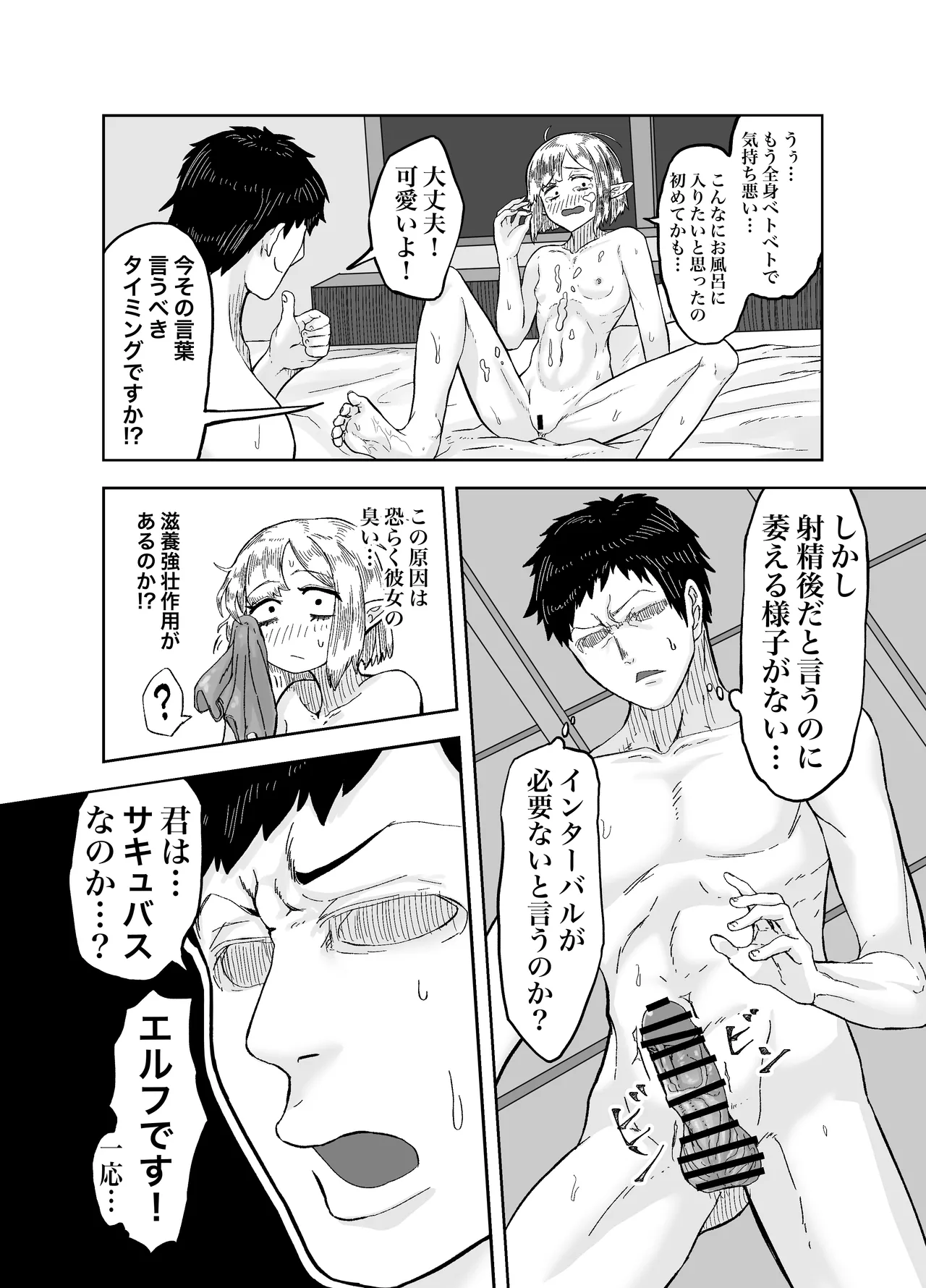 風呂嫌いな地味顔エルフの娼婦を騙して嫁にする - page12