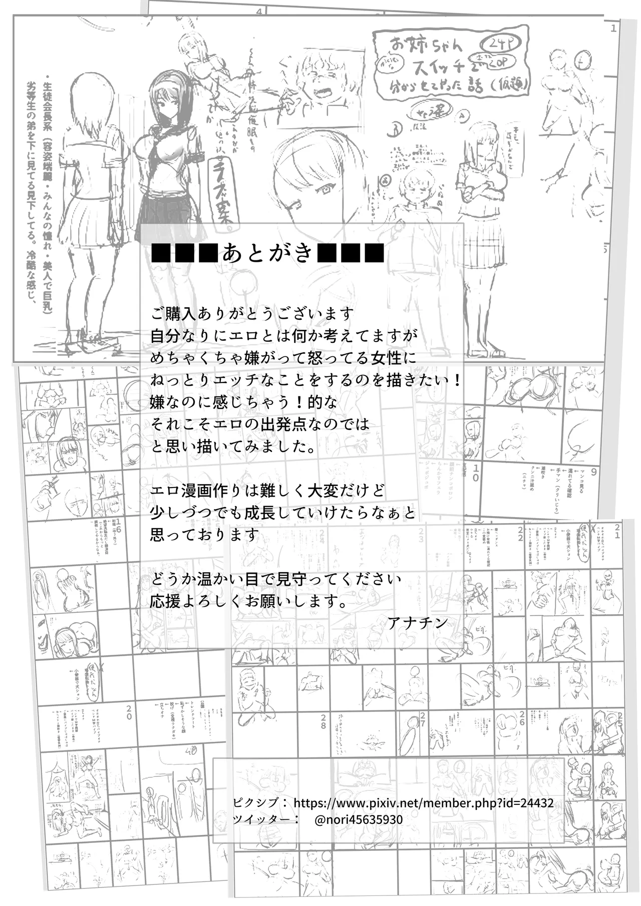 優等生のお姉ちゃんを洗脳して肉奴○にした話 - page30