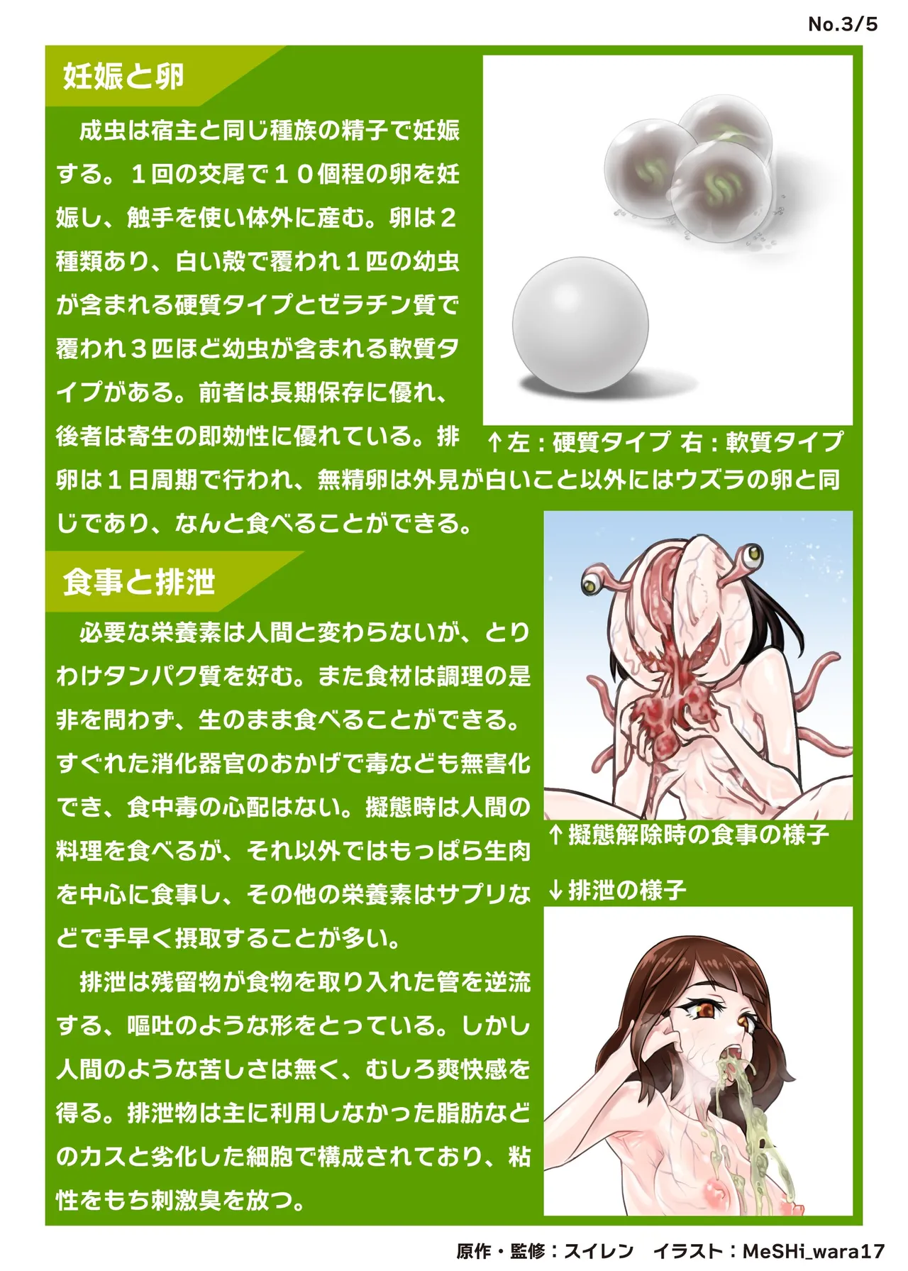 鶯坂37 - page17