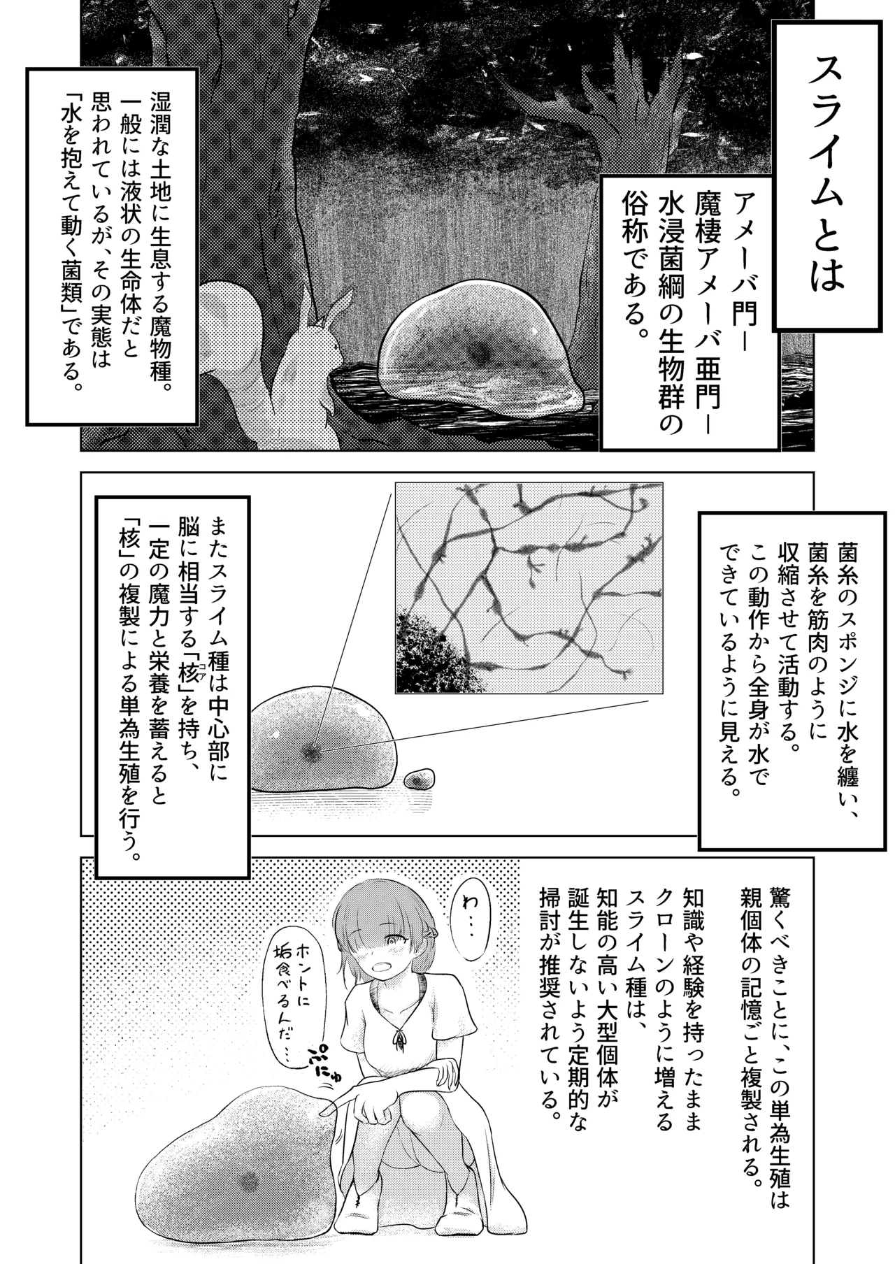 淫魔生態録 スライム娘編 - page2