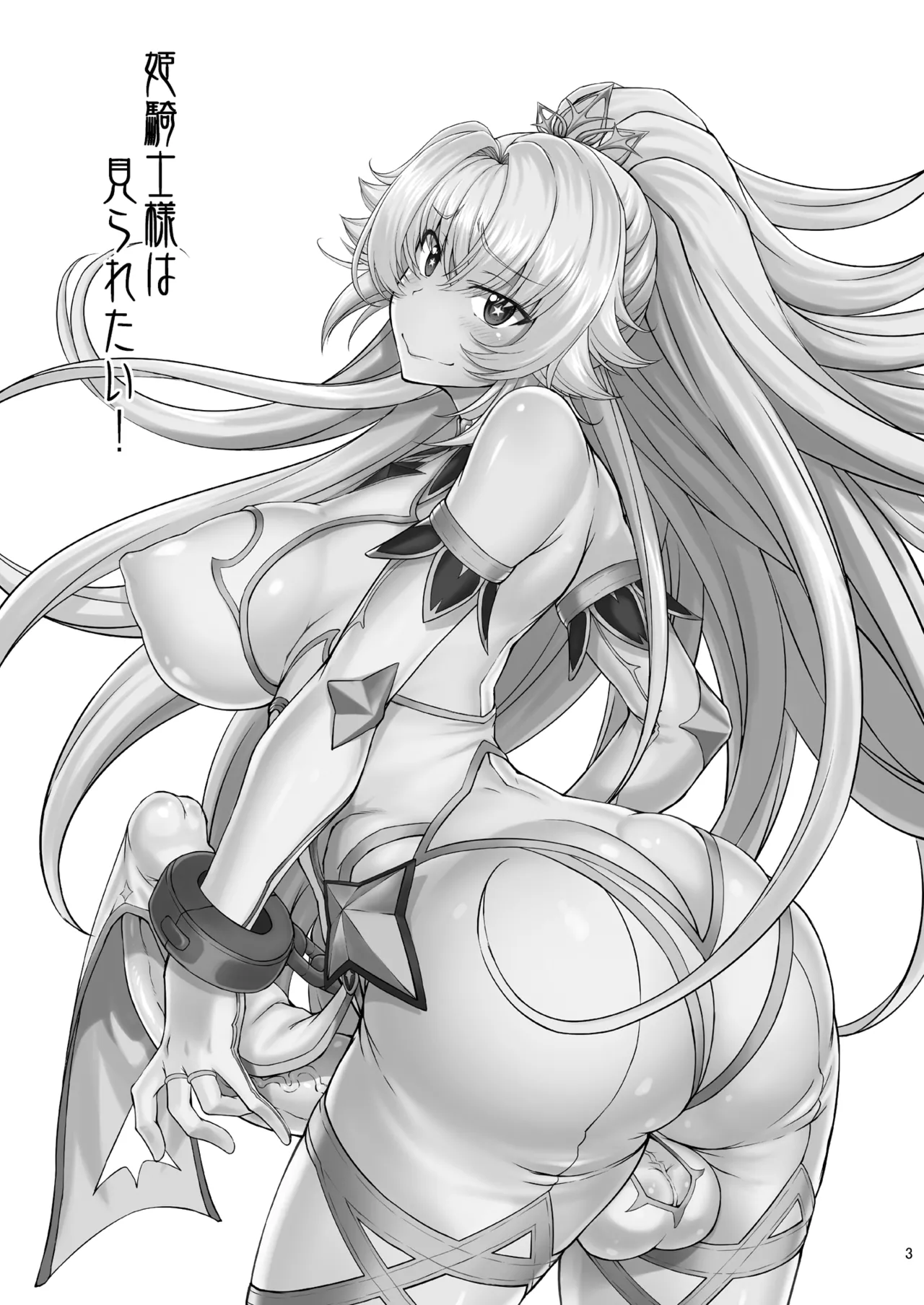 姫騎士様は視られたい! - page3
