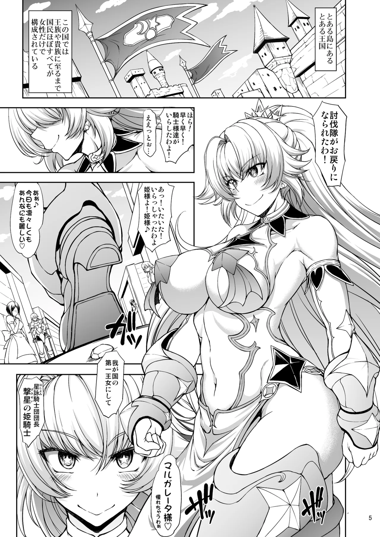 姫騎士様は視られたい! - page5