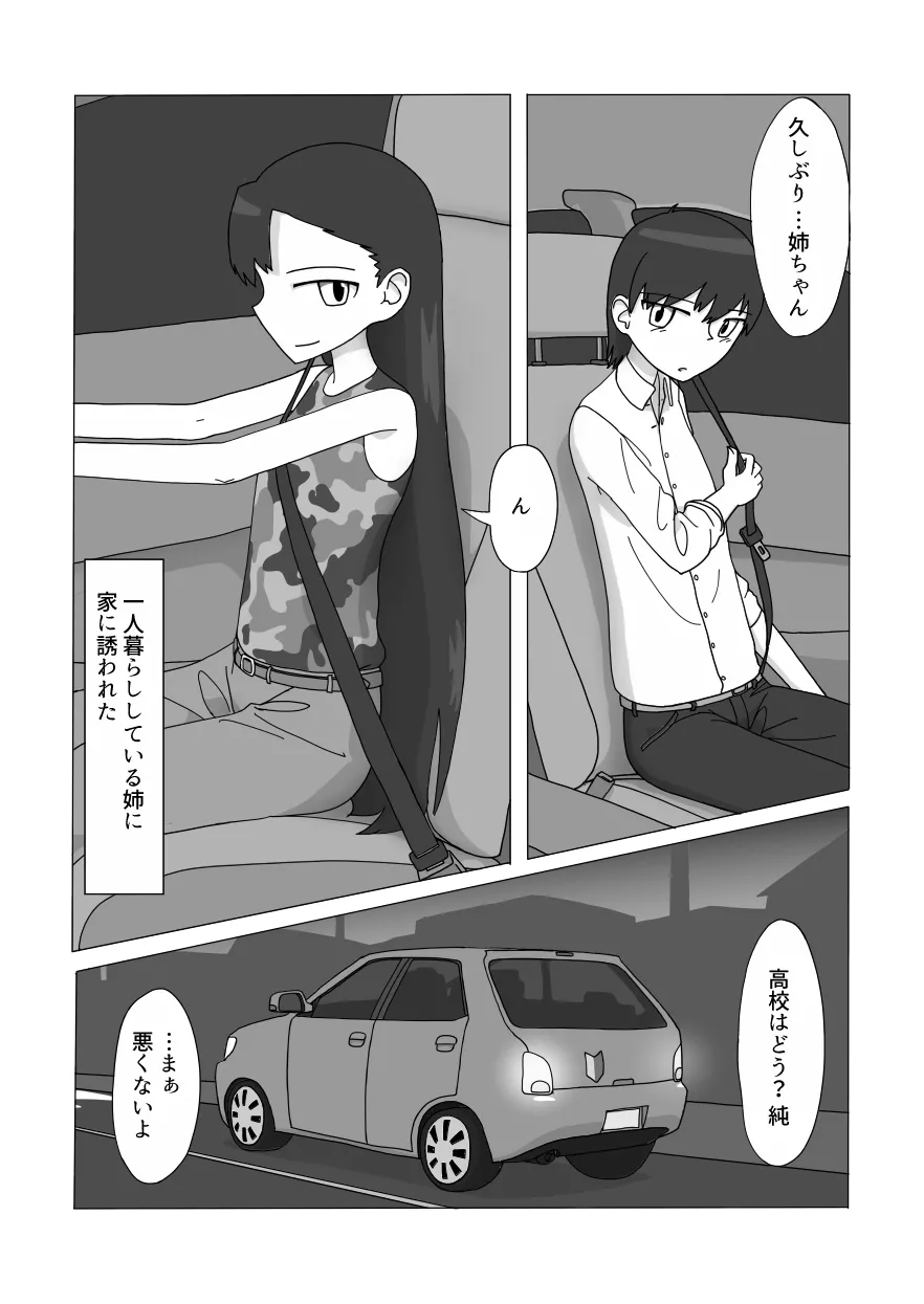 大好きなお姉ちゃんに見抜きさせてもらう漫画 - page2