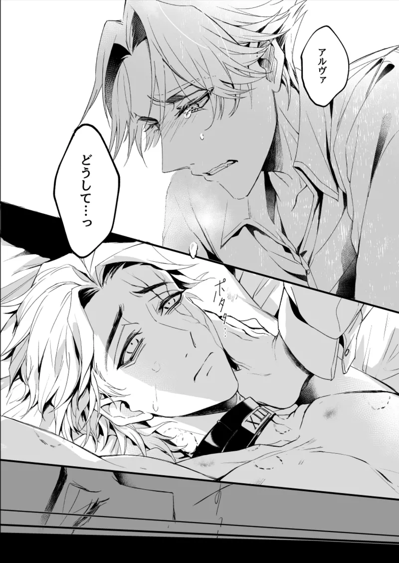 極光の檻 - page16