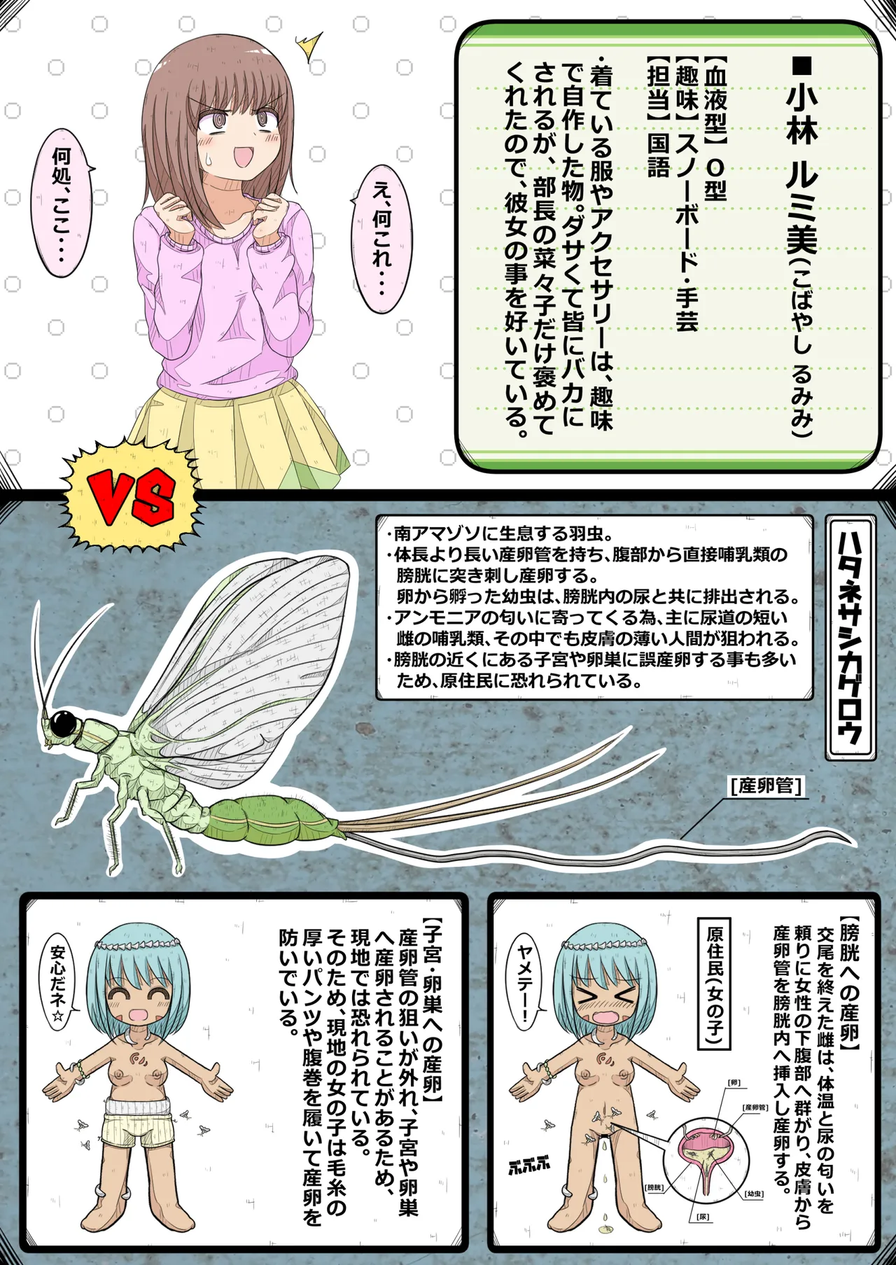 卵巣快楽研究部～顧問の卵巣を掌握せよ！の巻き～ - page6