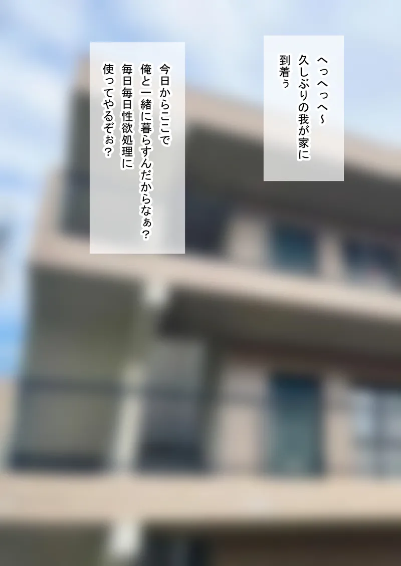 人形化光線銃 抱き枕収集・愛玩編 - page24