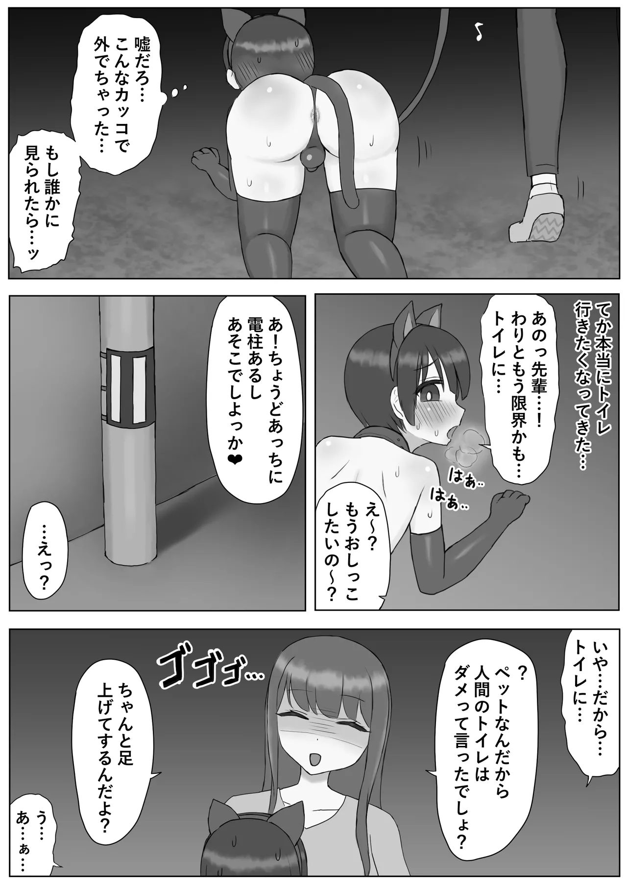 ふたなり年上彼女のペット兼マゾオナホにされちゃいました… - page11