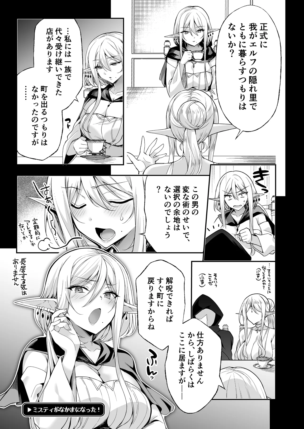 エルフに淫紋を付ける本 LEVEL:8 - page17