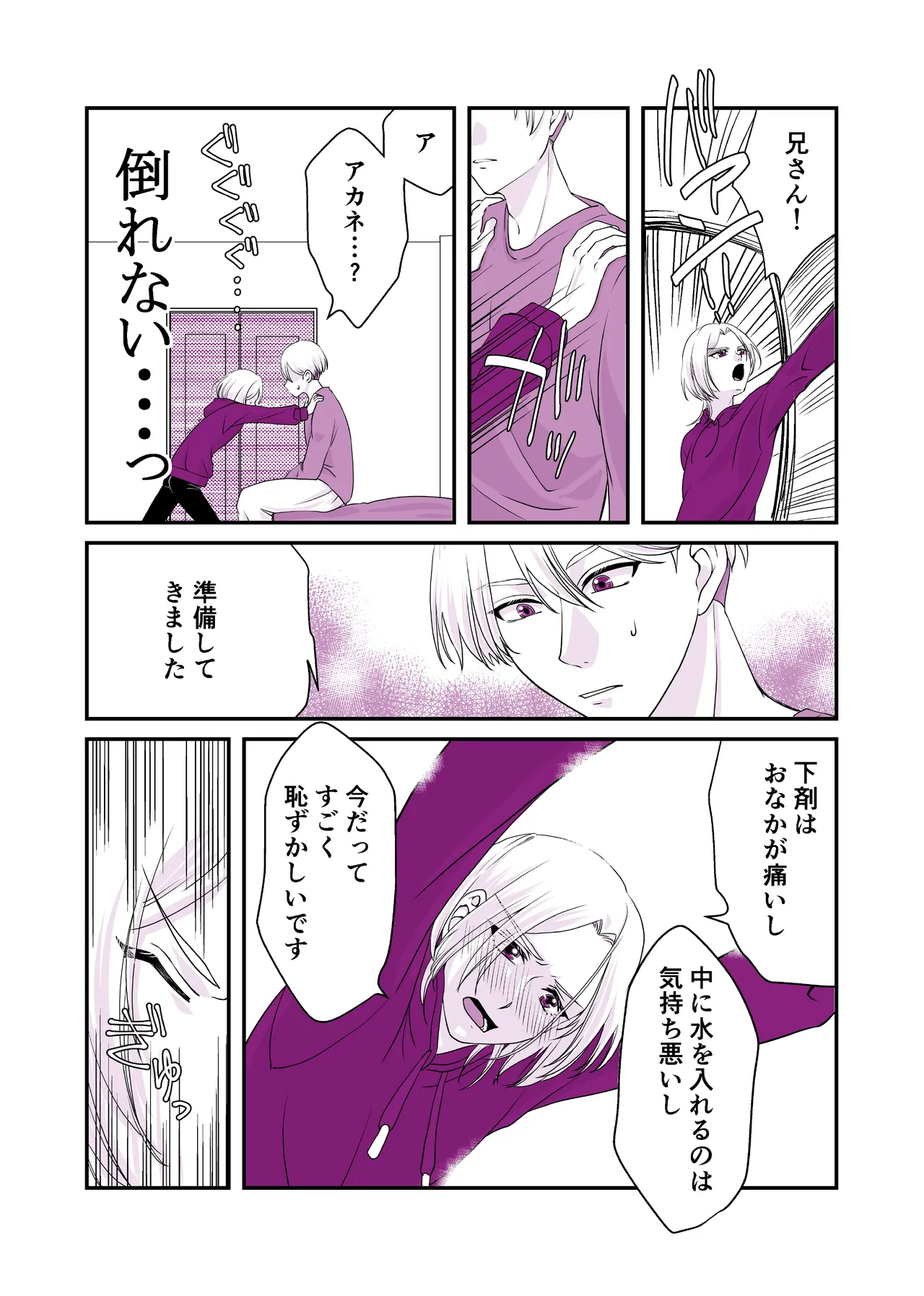 嘘つきで臆病で完璧な兄 - page13