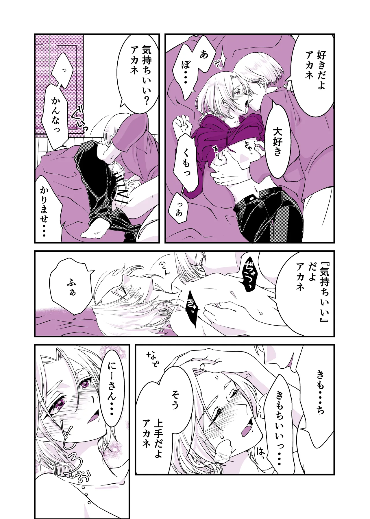 嘘つきで臆病で完璧な兄 - page16