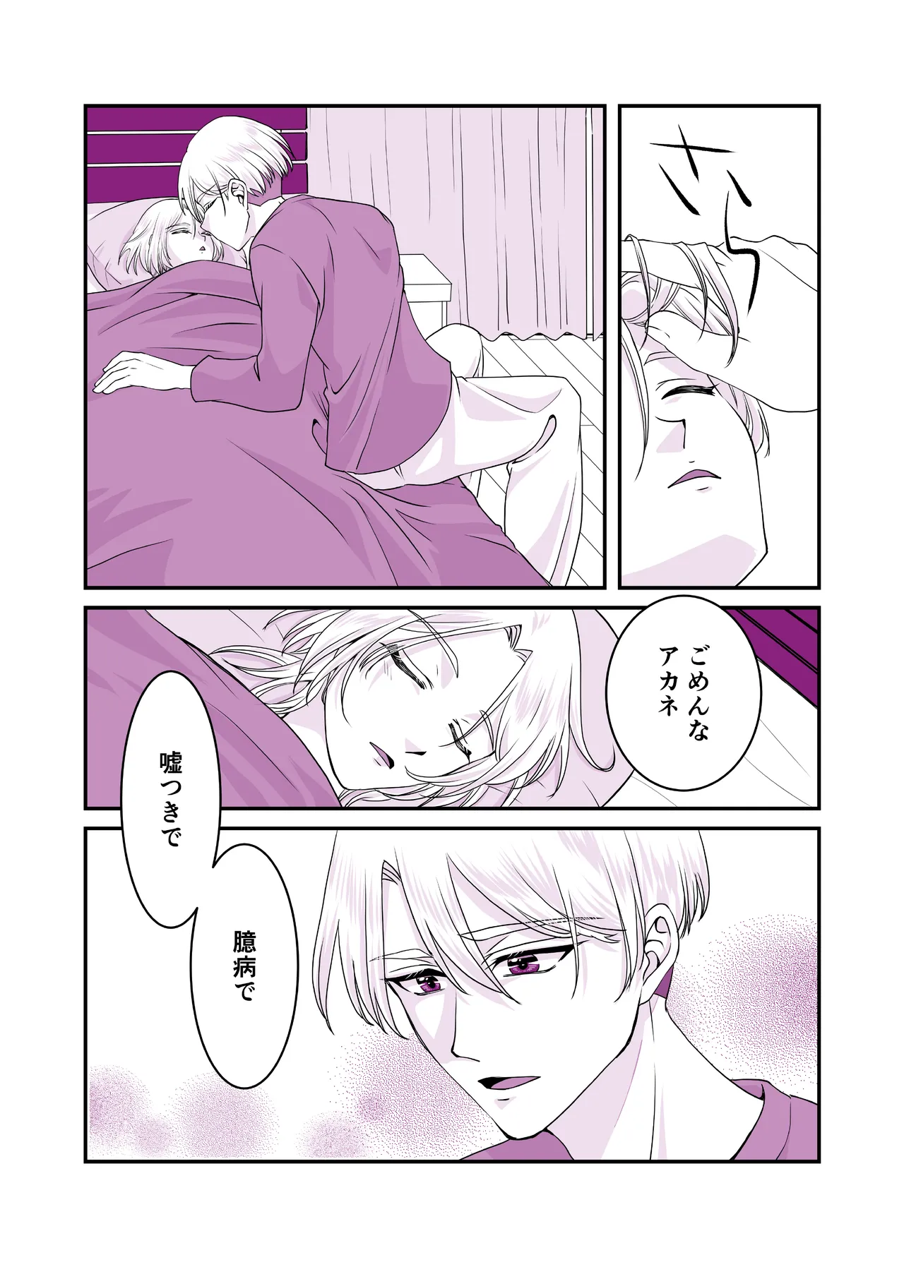 嘘つきで臆病で完璧な兄 - page21
