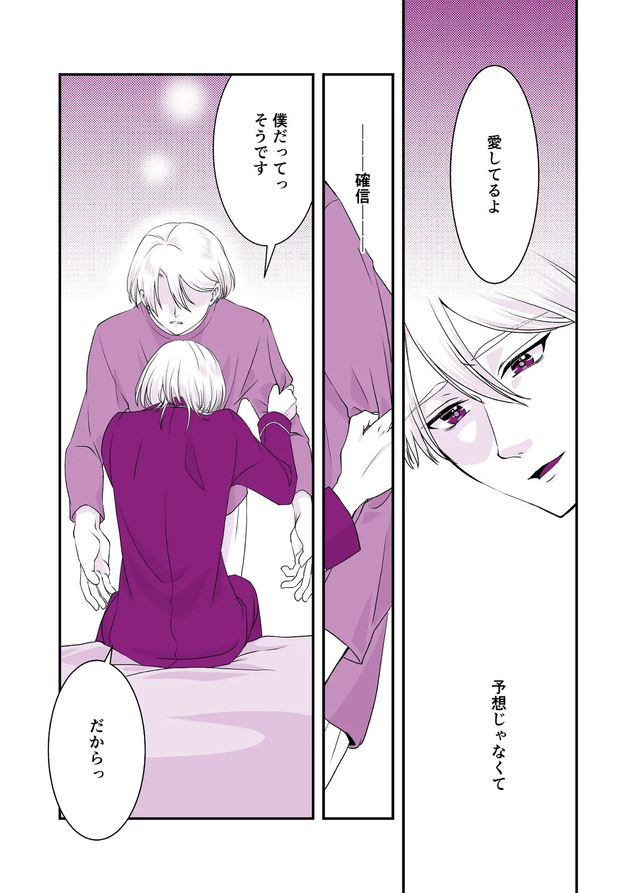 嘘つきで臆病で完璧な兄 - page3