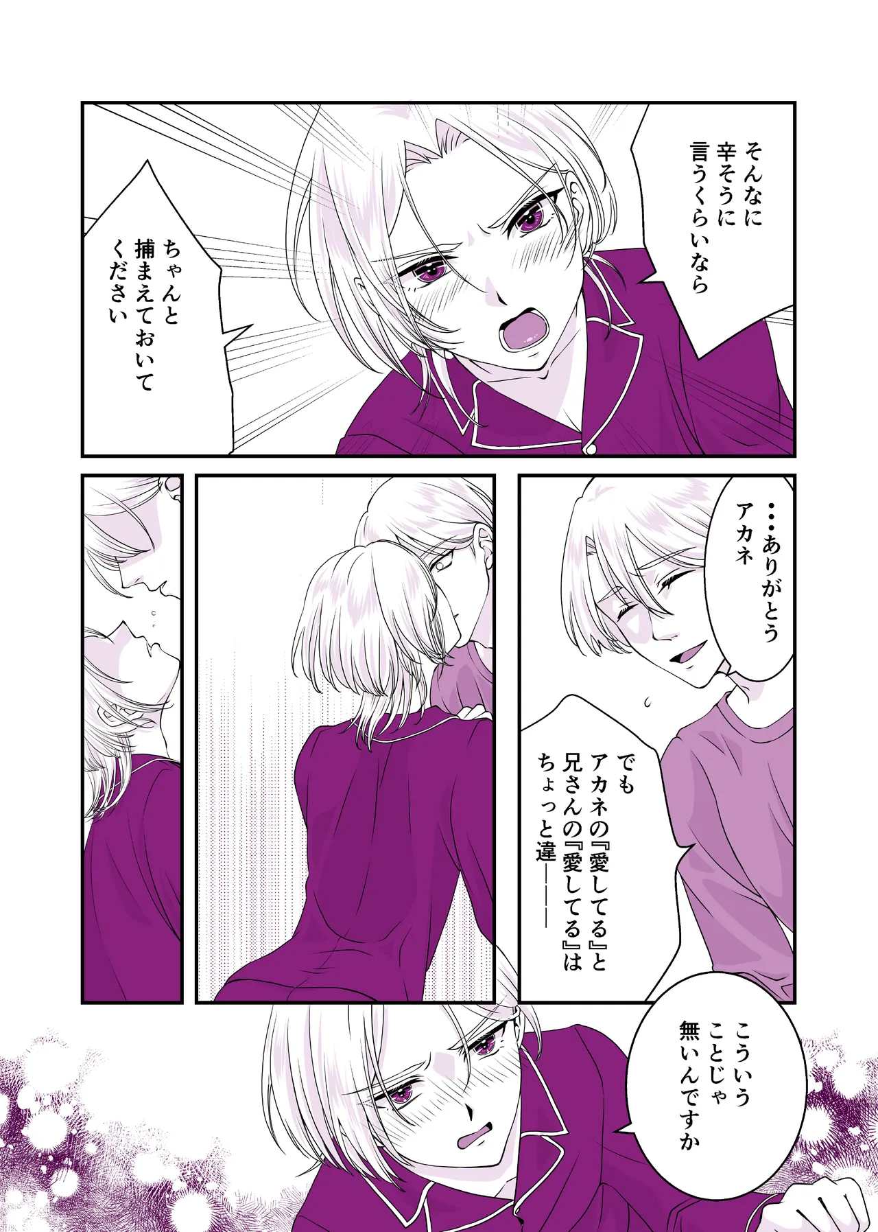 嘘つきで臆病で完璧な兄 - page4
