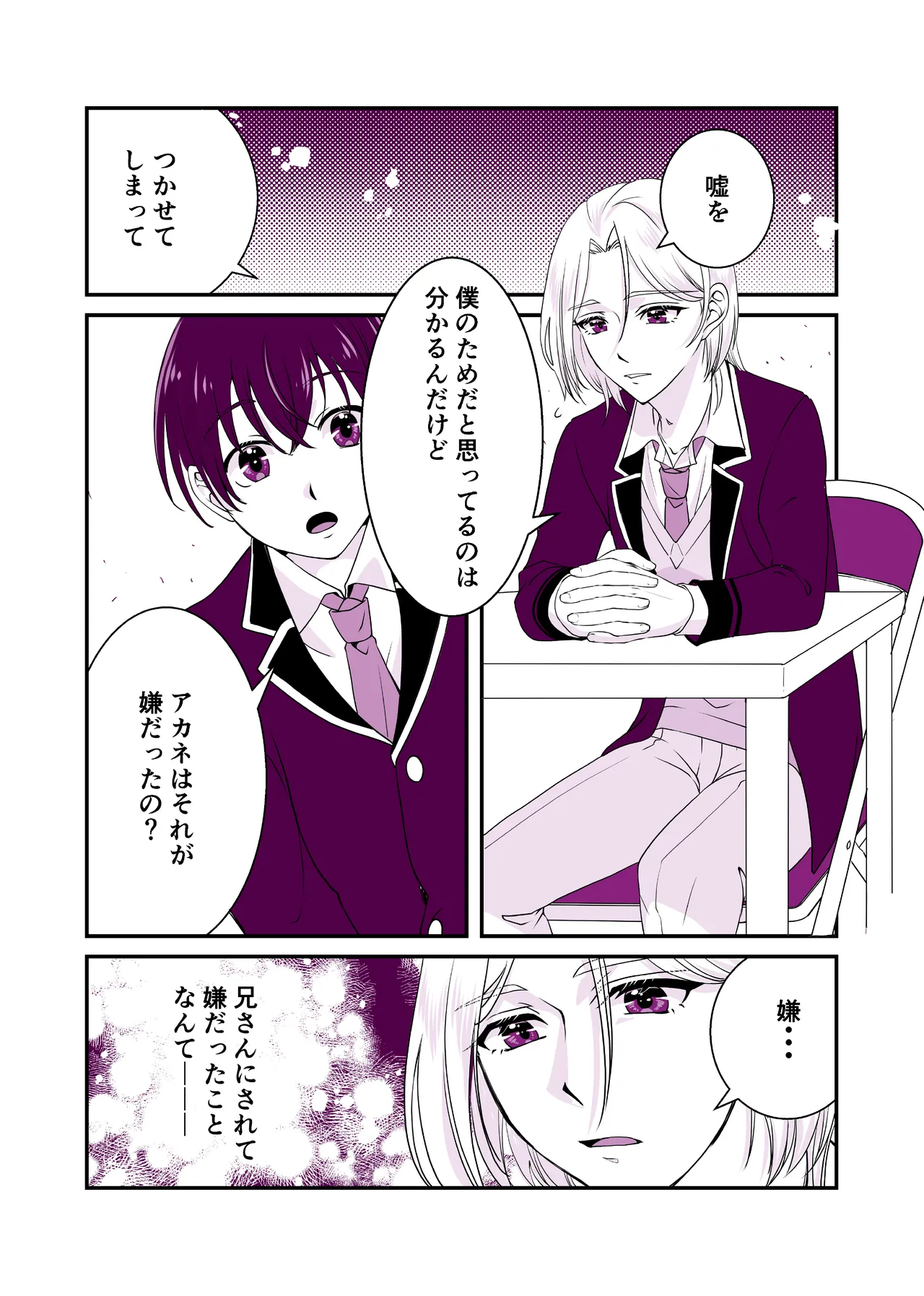 嘘つきで臆病で完璧な兄 - page9