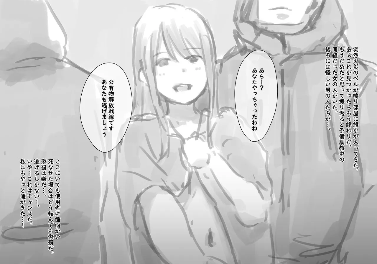 公有物少女3.5〜国から人権を剥奪され物として扱われる女の子の話〜特別厳重懲罰番外編 - page28