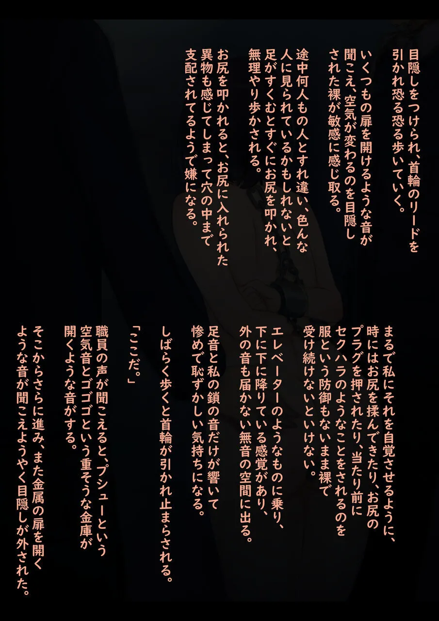 公有物少女3.5〜国から人権を剥奪され物として扱われる女の子の話〜特別厳重懲罰番外編 - page14