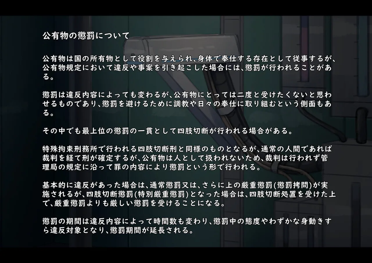 公有物少女3.5〜国から人権を剥奪され物として扱われる女の子の話〜特別厳重懲罰番外編 - page45
