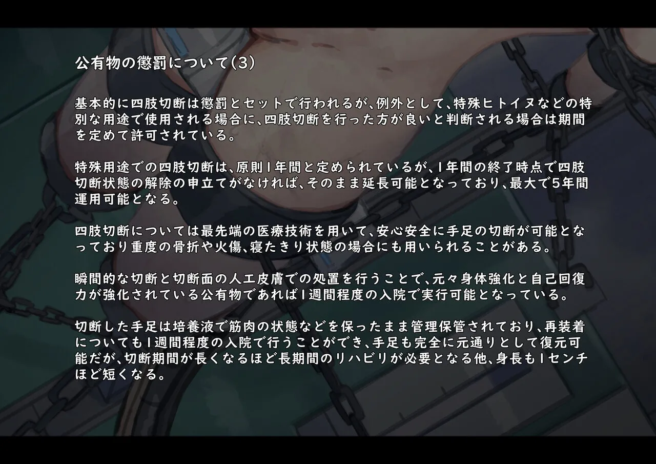 公有物少女3.5〜国から人権を剥奪され物として扱われる女の子の話〜特別厳重懲罰番外編 - page47