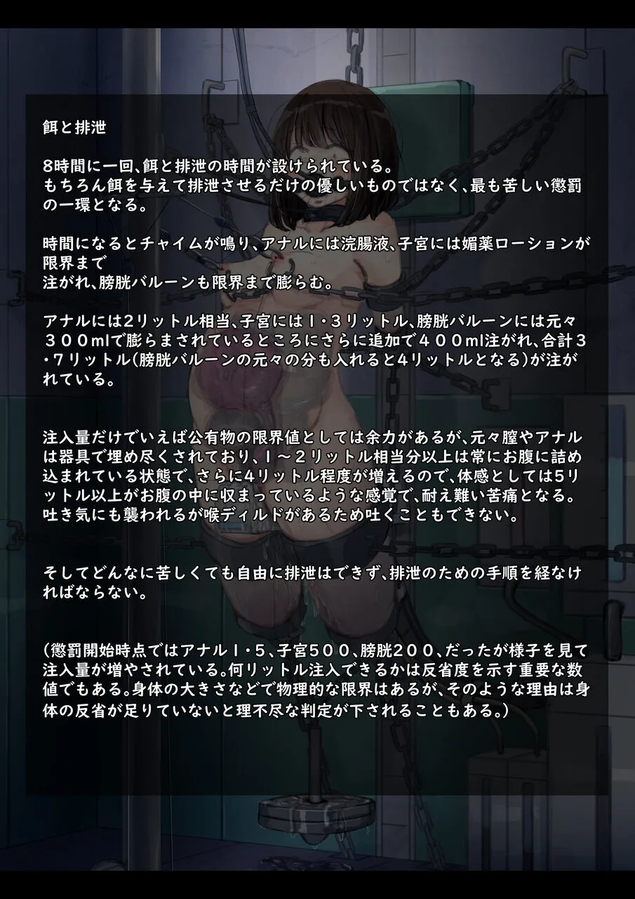 公有物少女3.5〜国から人権を剥奪され物として扱われる女の子の話〜特別厳重懲罰番外編 - page81