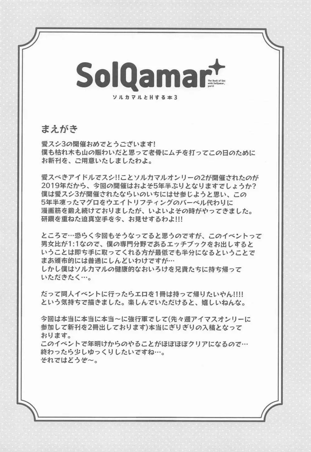ソルカマルとHする本3 - page3