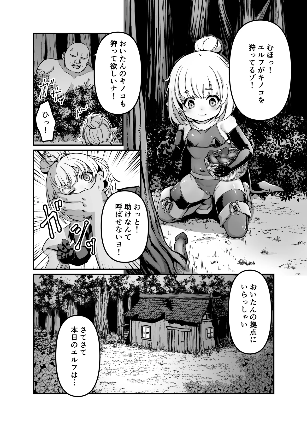エルフを犯すほん 4 - page3