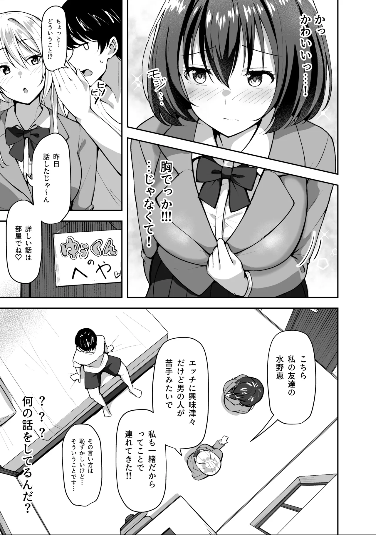 義姉（あね）が俺とHするために女の子を連れてくる - page13