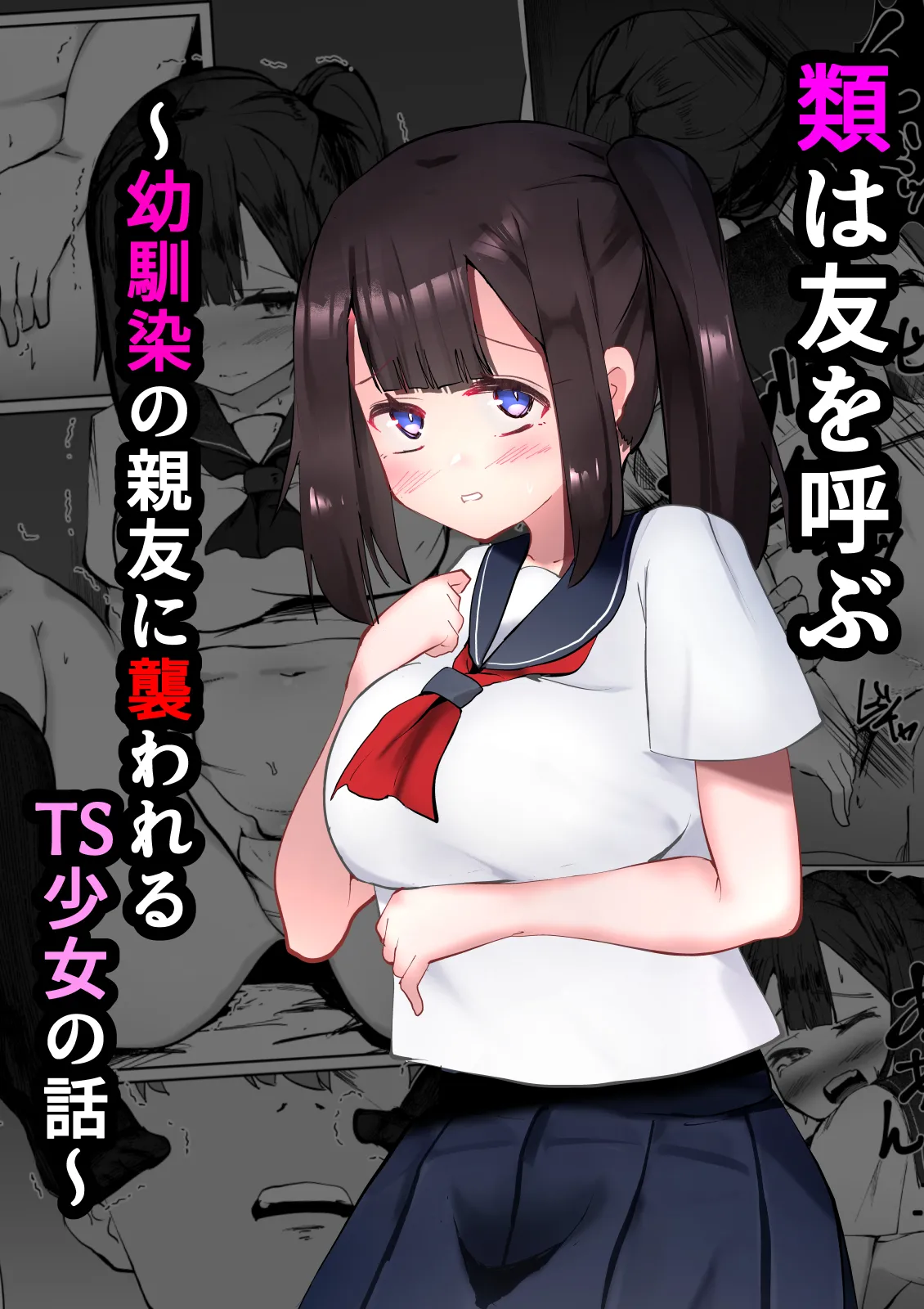 類は友を呼ぶ~幼馴染の親友に襲われるTS少女の話~