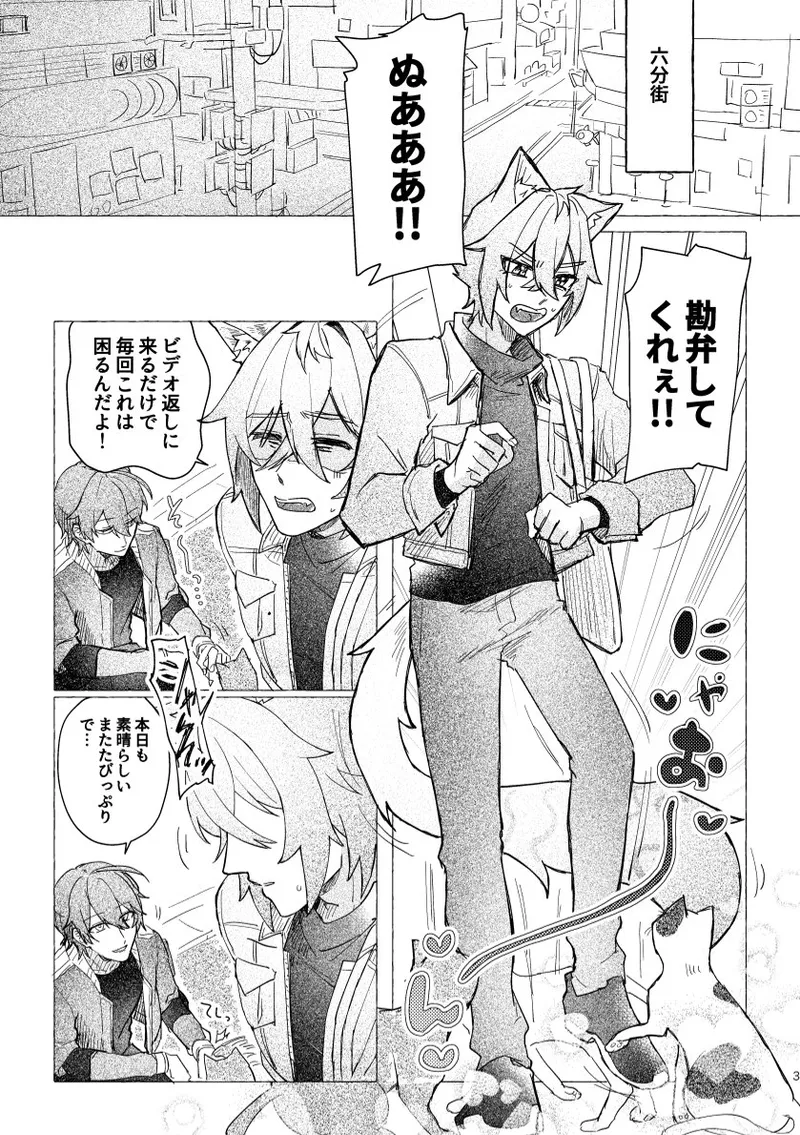 セスの猫部分 お借りします - page3