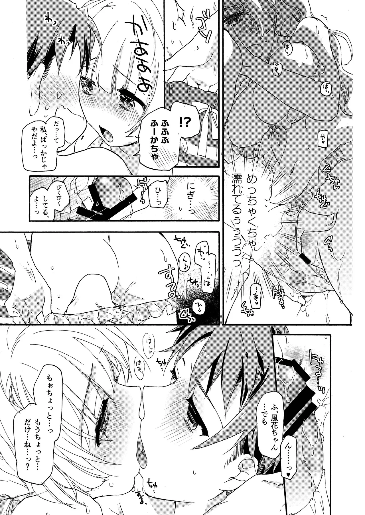 花に嵐２＋折本 - page13