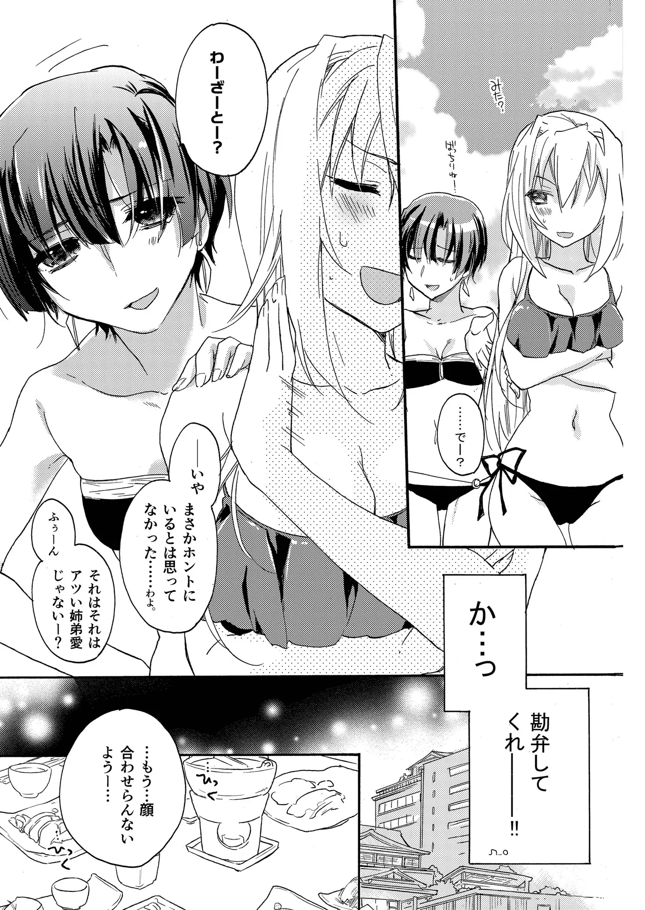 花に嵐２＋折本 - page17