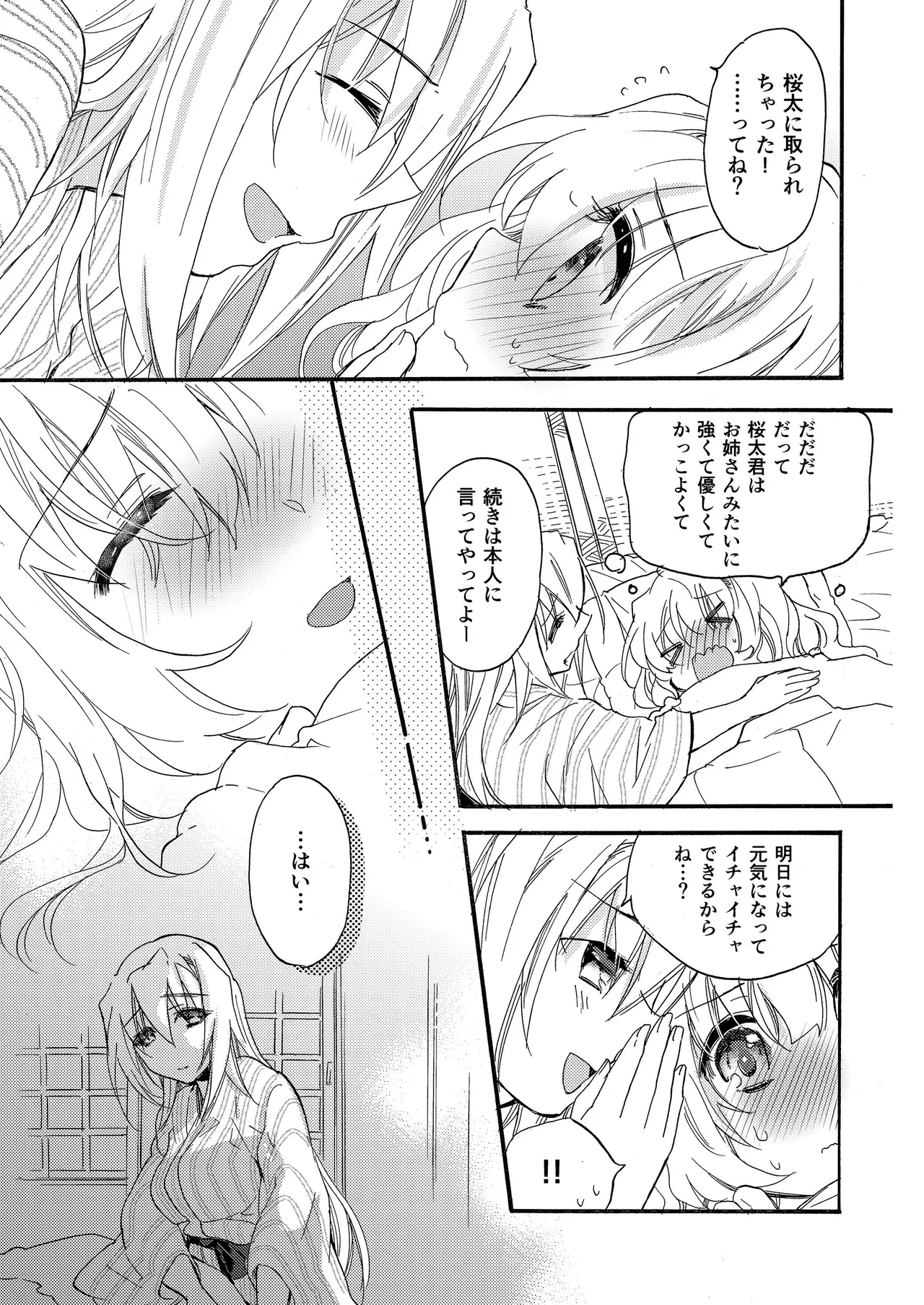 花に嵐２＋折本 - page27