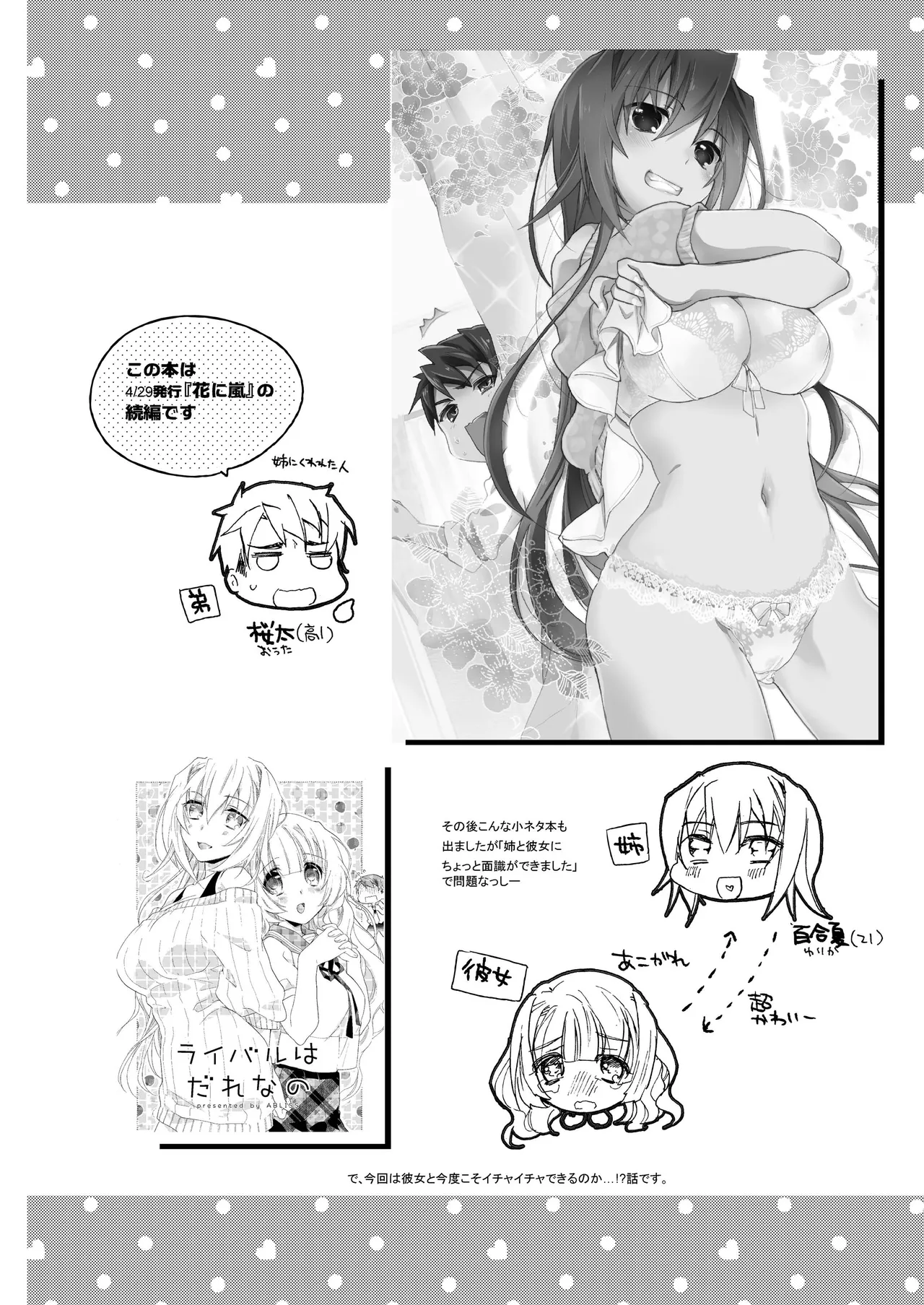 花に嵐２＋折本 - page4
