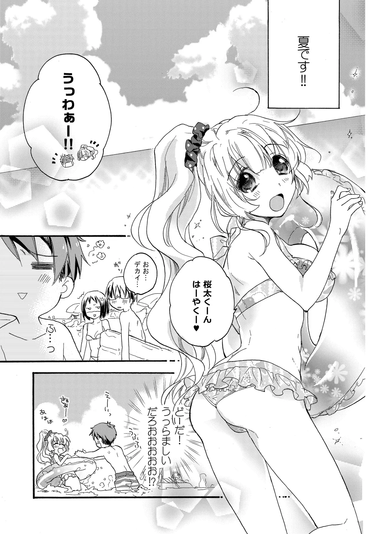 花に嵐２＋折本 - page5
