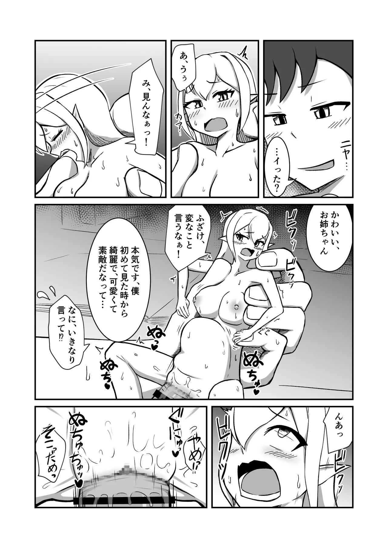 フェアリー族のお姉ちゃんは僕の専用オナホ妖精 - page25