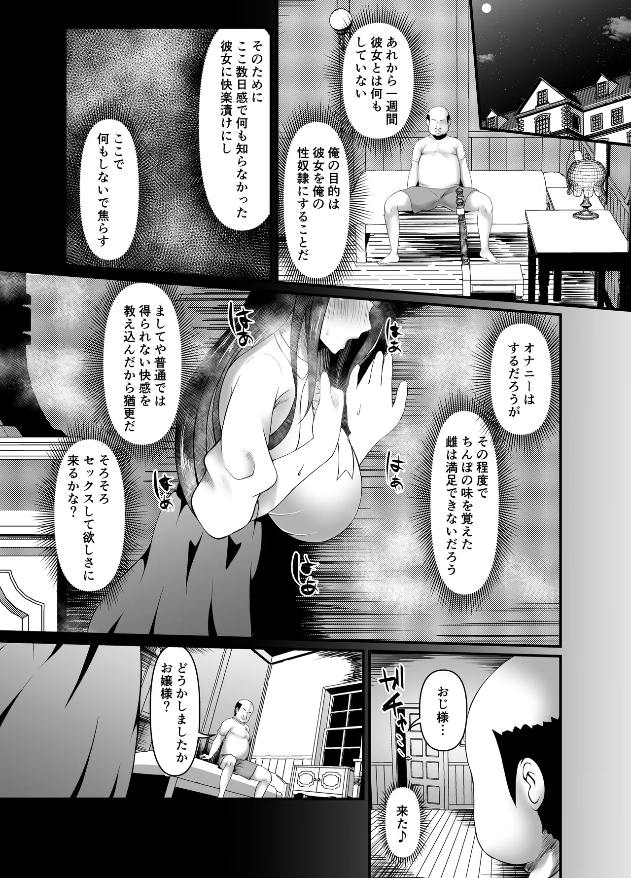 むち無知お嬢様メス奴隷に堕つ - page19