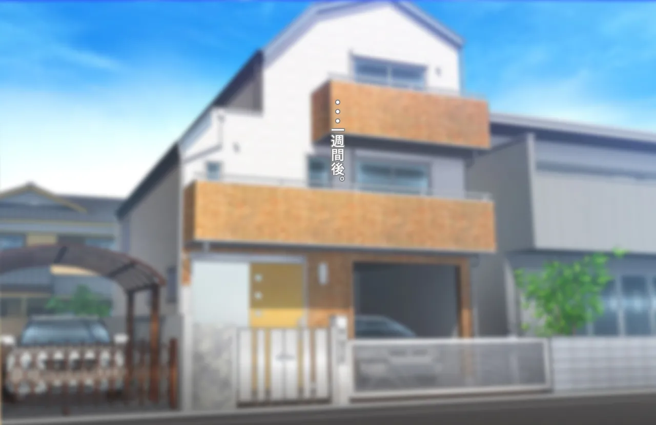 ずっとズリネタにしてきた姉とセフレ契約した話 - page61