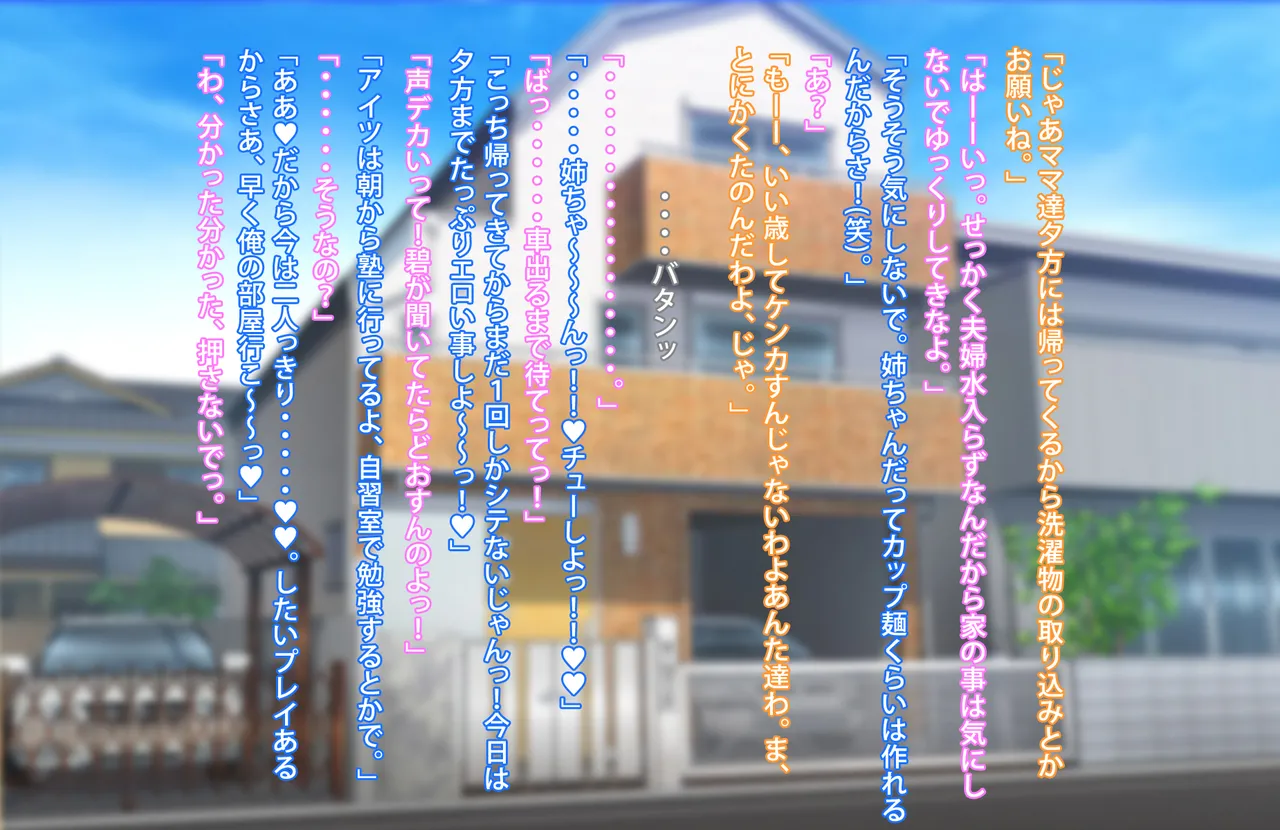 ずっとズリネタにしてきた姉とセフレ契約した話 - page62
